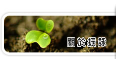 關於振詠